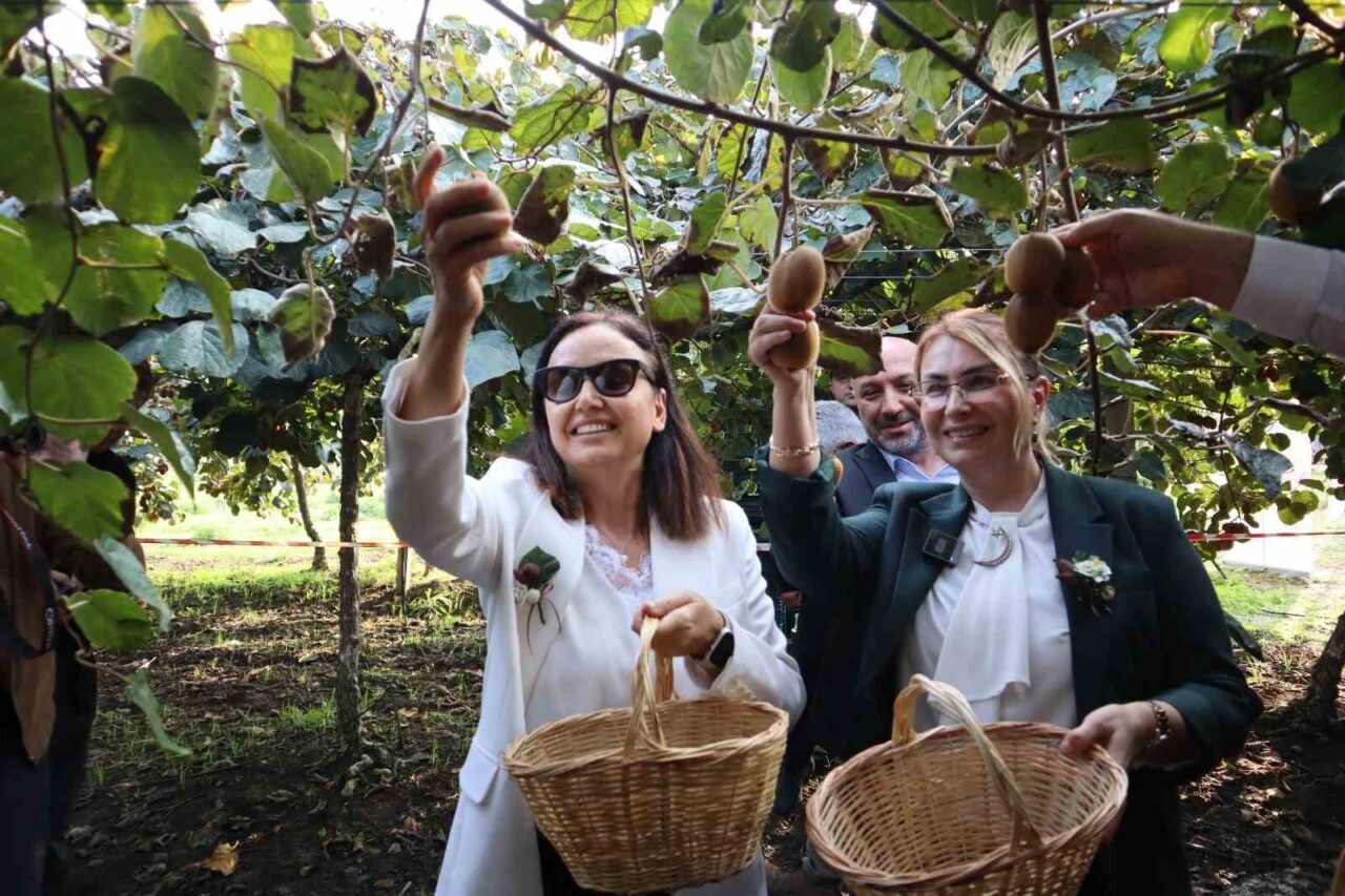 Yalova’da Kivinin Hasadına Merhaba Dedi: Üreticiler Şenliğe Katıldı