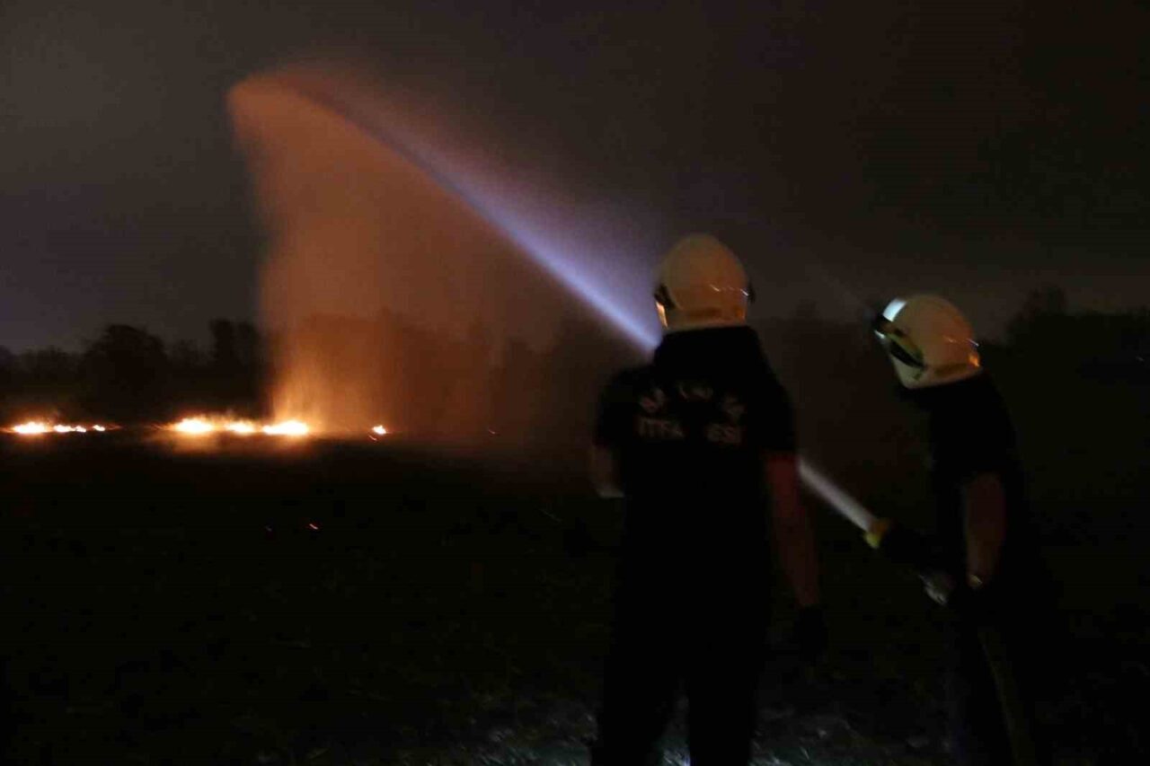 Akyazı’da Yasak Anız Yakımı Yangına Neden Oldu, İtfaiye Hızla Müdahale Etti