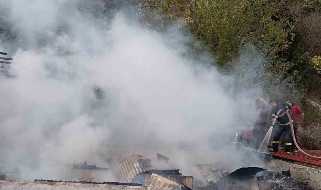 Hatay’daki metruk yapıda çıkan yangın, çevredeki konutlara ulaşmadan söndürüldü. Hatay'ın Yayladağı ilçesinde, metruk bir binada çıkan yangın, itfaiye ekiplerinin