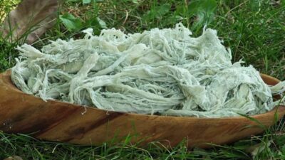 Erzurum'un geleneksel göğermiş peyniri, tamamen doğal yöntemlerle yapılmakta ve dünya