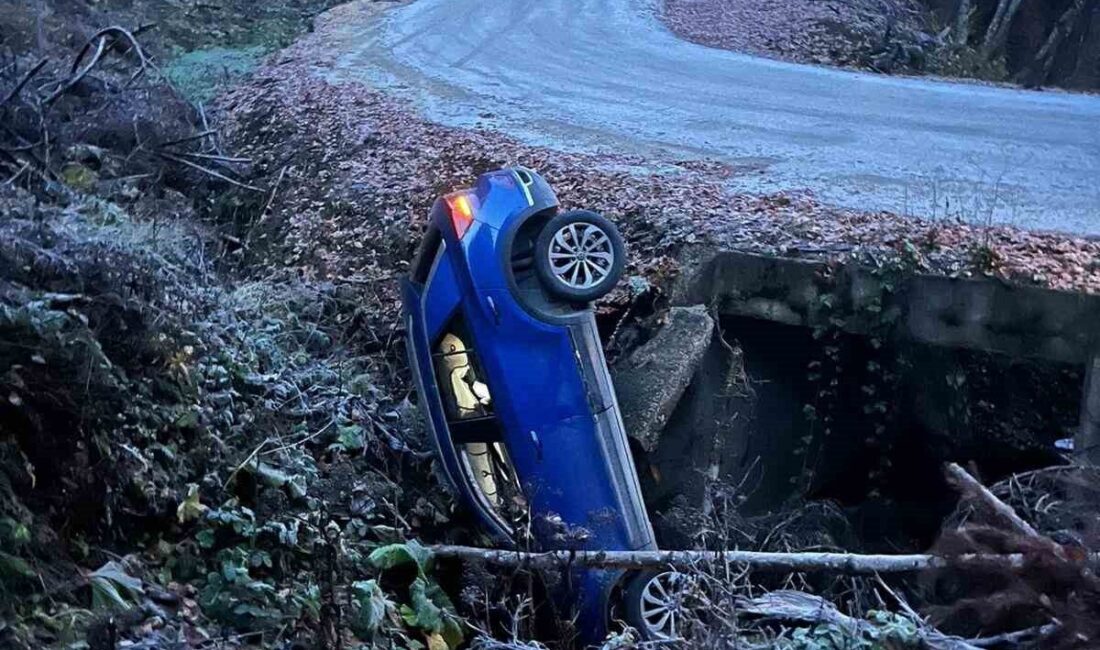 Bolu’da Yedigöller Yolunda Otomobilin Devrilmesi Sonucu Sürücü ve Eşi Yaralanmadan Kurtuldu Bolu'da Yedigöller Milli Parkı yolunda, Ahmet Ç. yönetimindeki otomobil gizli