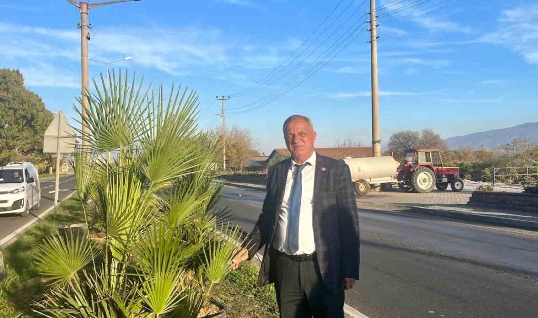 Aydın'ın Sultanhisar ilçesinde ağaçlandırma çalışmaları devam ediyor. Belediye Başkanı Osman