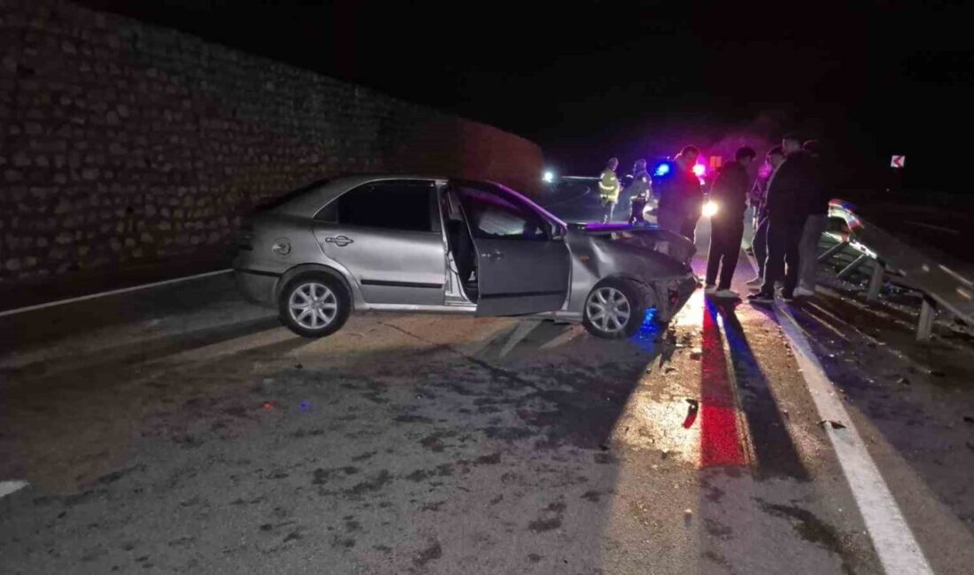 Bartın-Amasra kara yolunda yaban hayvanı nedeniyle meydana gelen kazada, V.K.
