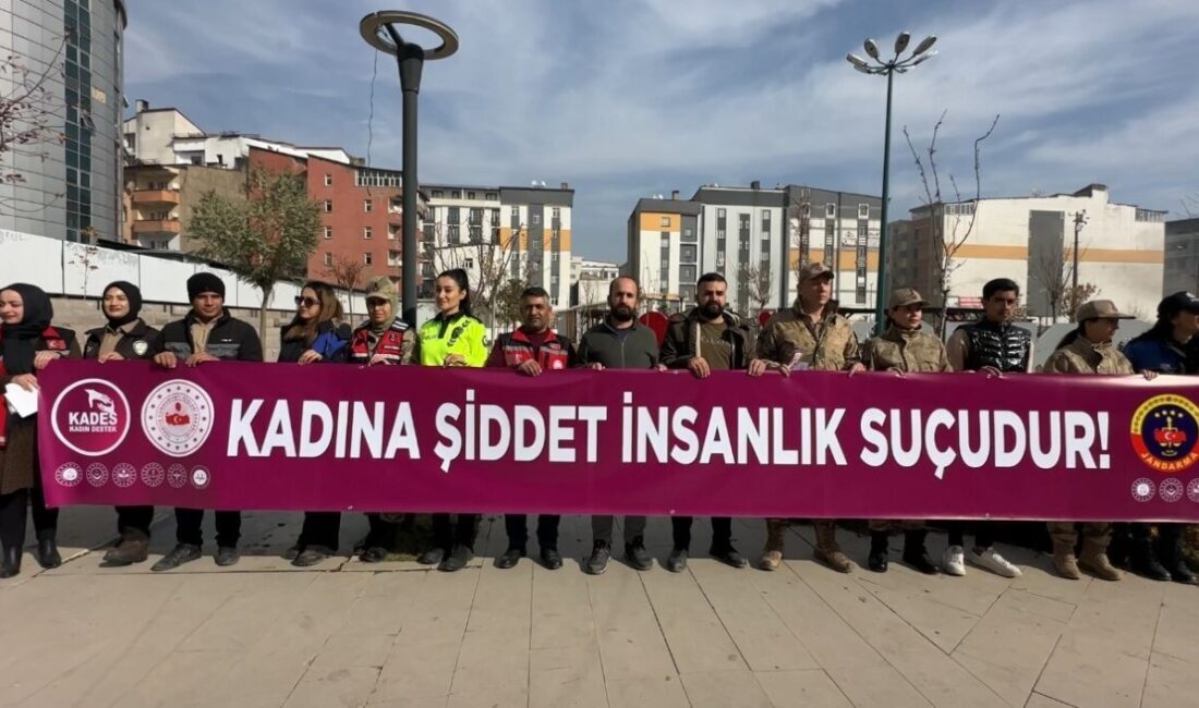 Hakkari Yüksekova'da, 25 Kasım Kadına Yönelik Şiddete Karşı Uluslararası Mücadele