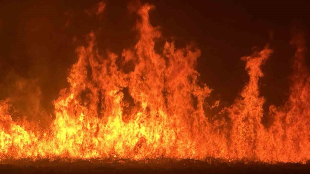 Yüksekova’da Yangın, Nehil Sazlığı’nı Tehdit Ediyor: Ekipler Hızla Müdahale Ediyor