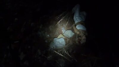 Alanya'da yürüyüş yaparken uçurumdan düşen Ukrayna vatandaşları Sofia Z. (24)