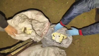 Hatay'da jandarma, Altınözü ilçesindeki zeytin bahçesinde 625 bin uyuşturucu hap