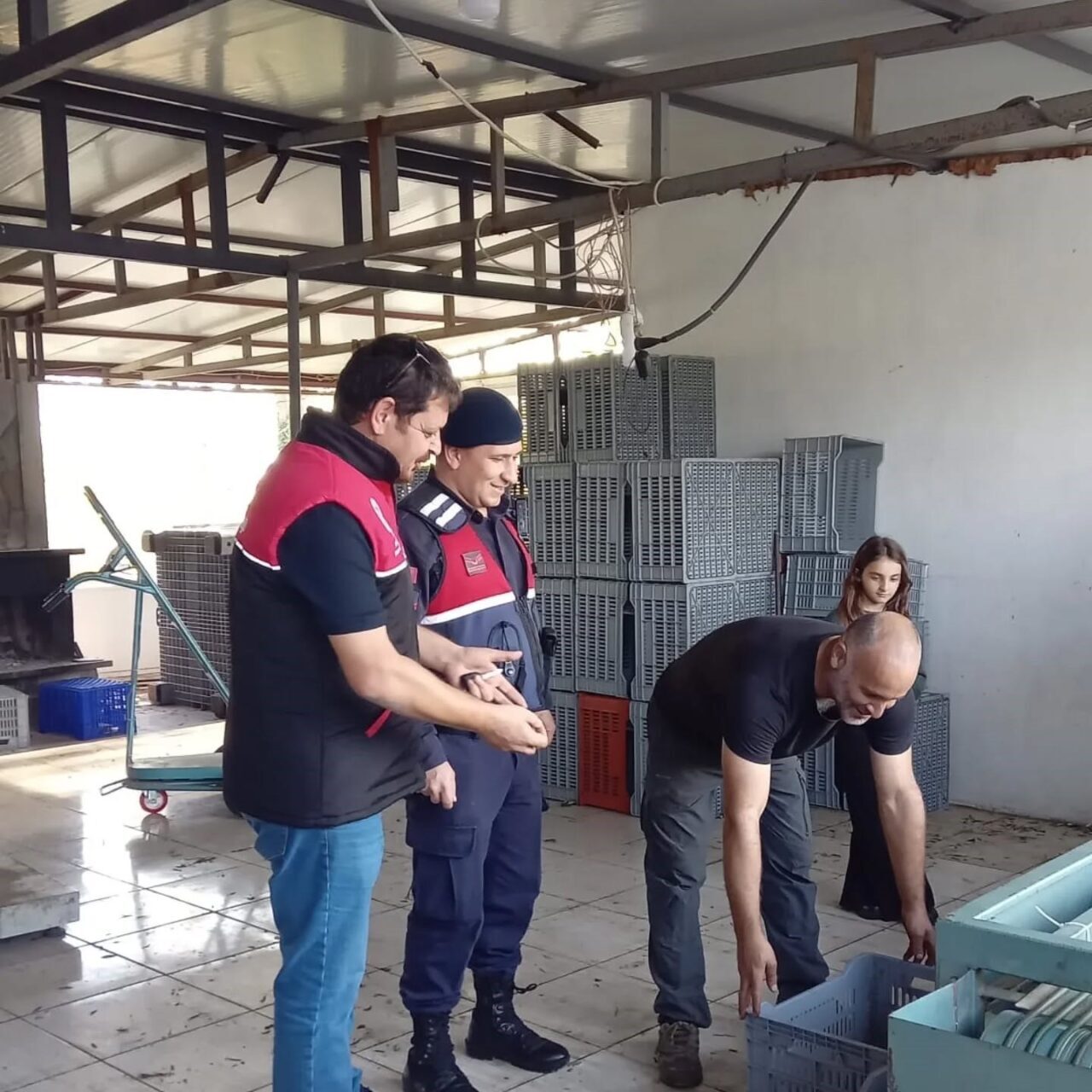 Zeytin hasadının başlamasıyla Edremit'te zeytin hırsızlığına karşı denetimler yapıldı. Edremit