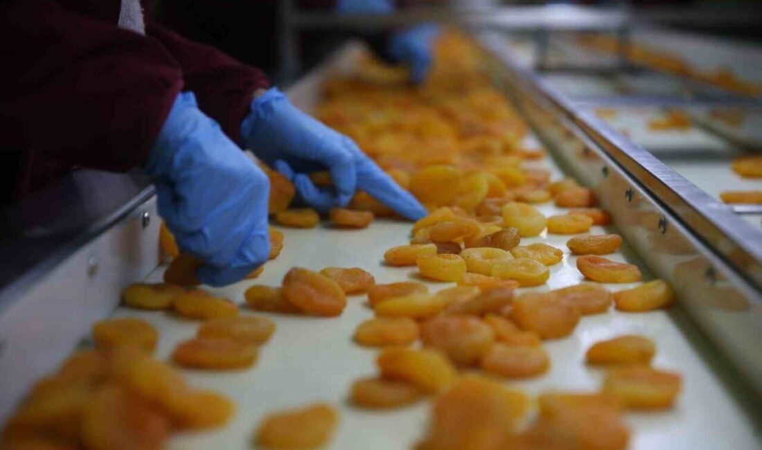 Malatya Ticaret Borsası Başkanı Ramazan Özcan, Malatya kayısısının AB coğrafi