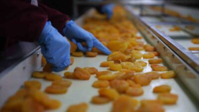 Malatya Ticaret Borsası Başkanı Ramazan Özcan, Malatya kayısısının AB coğrafi