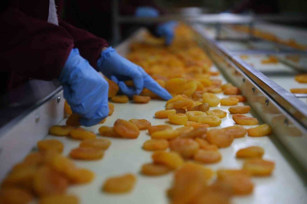 Malatya Ticaret Borsası Başkanı Ramazan Özcan, Malatya kayısısının AB coğrafi