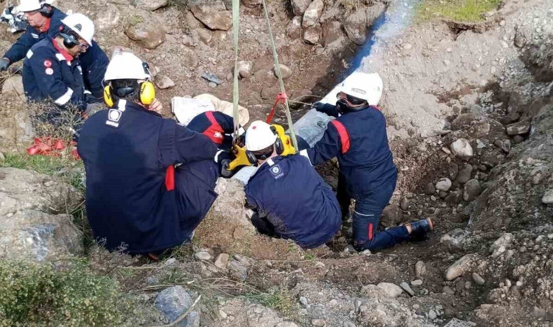 BOTAŞ, Zonguldak'ın Alaplı ilçesindeki doğal gaz boru hattındaki hasarın giderildiğini