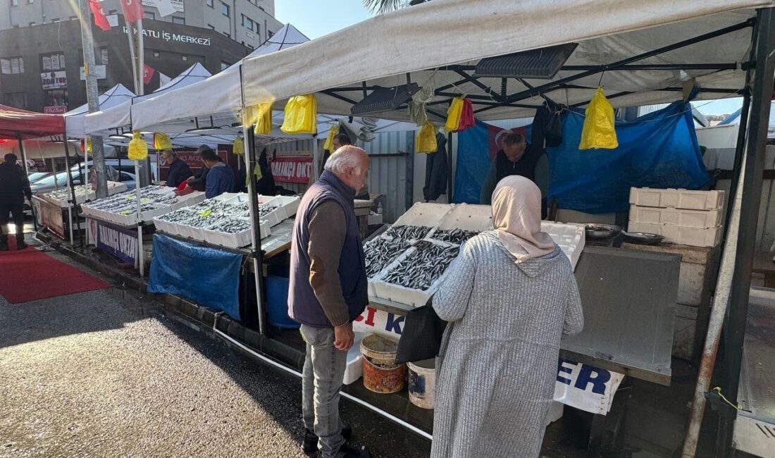 Zonguldak Balık Hali esnafı Batuhan Ertürk, hamsi sezonunun sona yaklaştığını