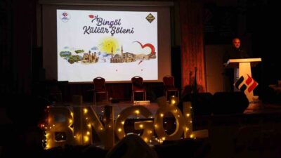 Diyarbakır'da, 12.12 Bingöllüler Günü, Final Okulları'nda düzenlenen kültür şöleniyle kutlandı.