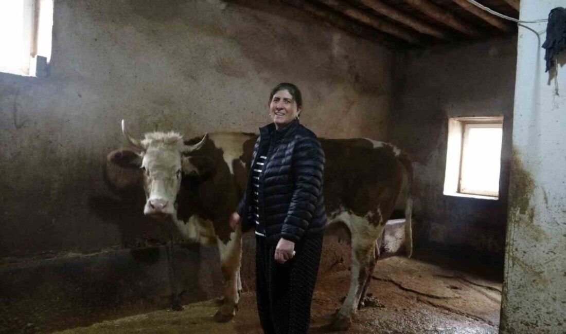 Hozat’ta Kadın Muhtar Seçimi Kazandı: Yazgülü Almaz, 8 Erkek Rakibini Geride Bırakarak Mahallesine Hizmet Edecek Tunceli'nin Hozat ilçesinde, Fikripaşa Mahallesi'nde 58 yaşındaki Yazgülü Almaz, 8