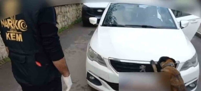 Akyazı’da Uyuşturucu Soruşturması: 92 Kilo Bonzai ile İki Şüpheli Gözaltına Alındı