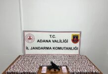 Adana’da düzenlenen operasyonda 23 bin 876 uyuşturucu hap ve tabanca ele geçirildi, bir kişi tutuklandı.