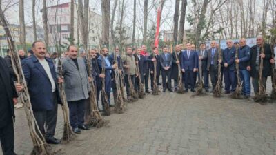 Bitlis Valiliği, Adilcevaz'da tarımsal üretimi artırmak için 12 bin aşılı