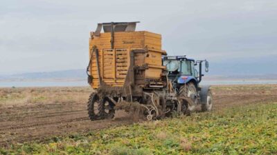 Bitlis'in Adilcevaz ilçesinde çiftçiler, şeker pancarı hasadında yoğun mesai harcıyor.