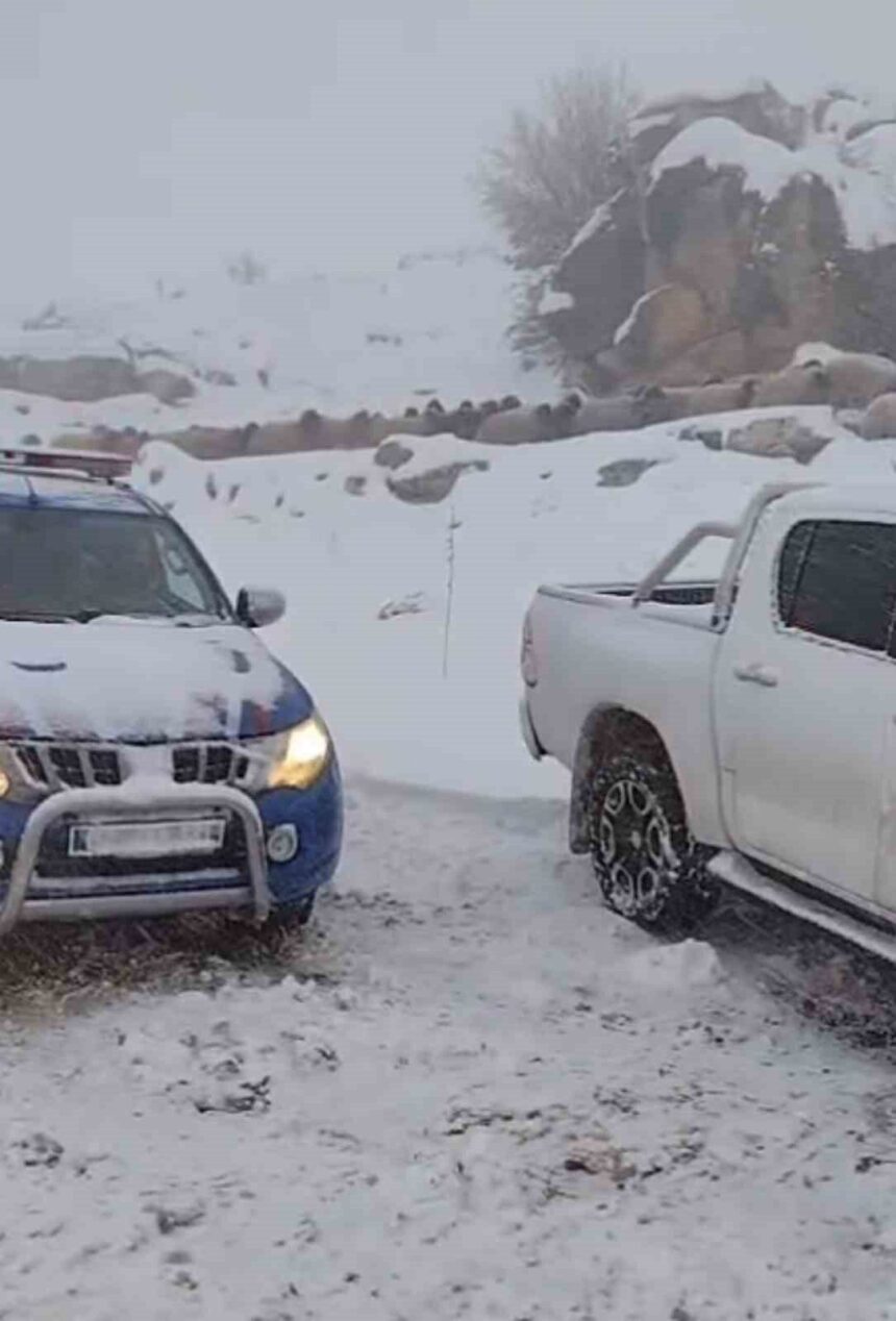 Adıyaman’da dağda mahsur kalan 2 çoban ve 800 koyun kurtarıldı.