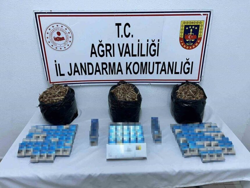 Doğubayazıt’ta Jandarma Kontrolünde 840 Paket Kaçak Sigara ve 15 Kilogram Safran Tohumu Ele Geçirildi