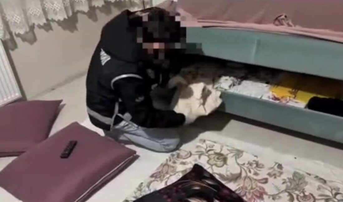 Ağrı’da gerçekleştirilen operasyonda 1,5 milyon TL değerinde gümrük kaçağı cep telefonları ve binlerce paket kaçak sigara ele geçirildi; 12 kişi hakkında yasal işlem başlatıldı. Ağrı'da gerçekleştirilen operasyonda, 1,5 milyon TL değerinde gümrük kaçağı 35