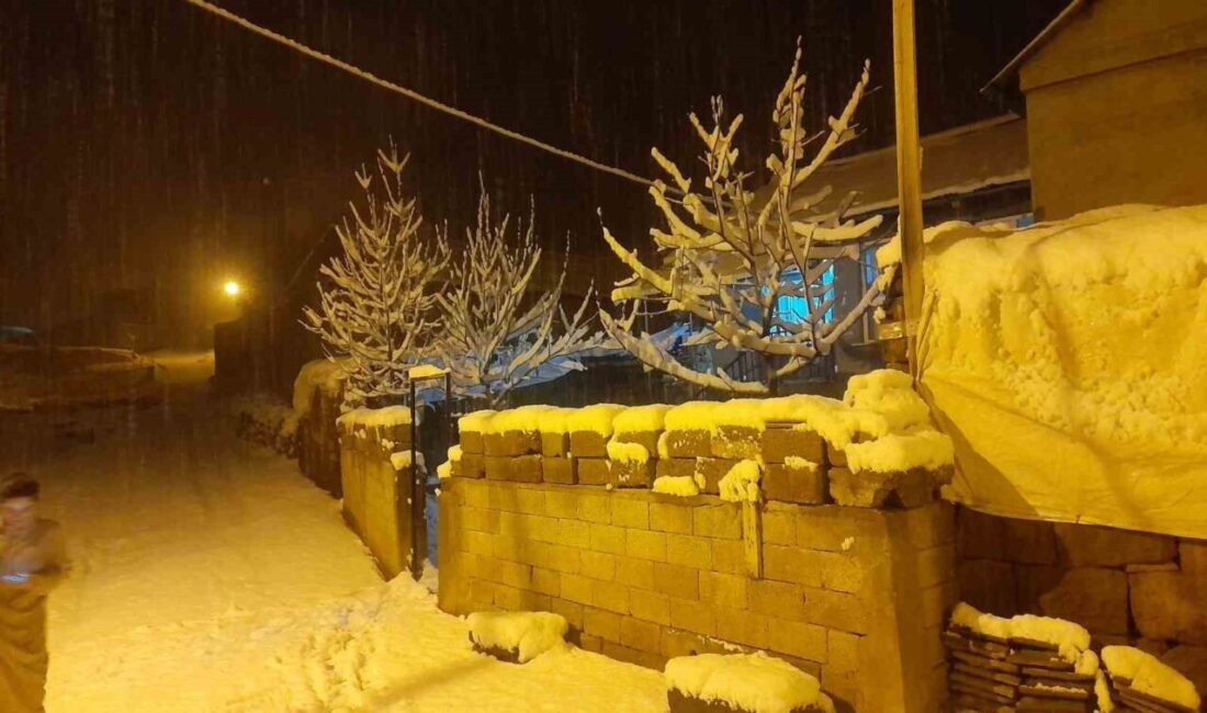 Bitlis’in Ahlat ilçesinde etkili olan kar yağışı, yüksek kesimlerdeki köyleri