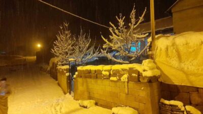Bitlis’in Ahlat ilçesinde etkili olan kar yağışı, yüksek kesimlerdeki köyleri