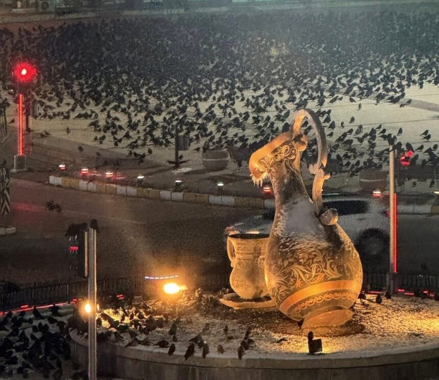 Erzincan’da Kış Akşamlarına Kargalar Gölgelerini Düşürüyor, Çözüm Bekleniyor