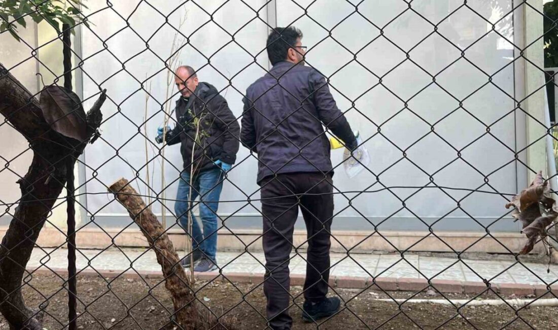 Alanya'da alacak verecek yüzünden çıkan tartışma, E.K.'nin M.Y.'yi bıçaklamasıyla kavgaya