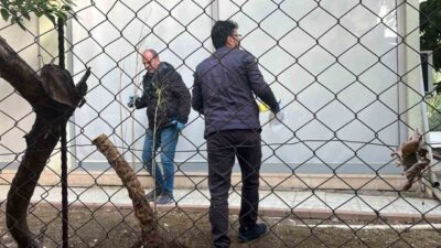 Alanya'da alacak verecek yüzünden çıkan tartışma, E.K.'nin M.Y.'yi bıçaklamasıyla kavgaya