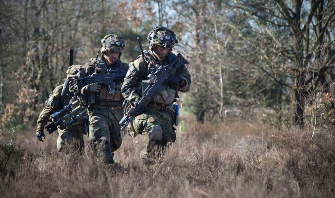 Almanya'nın Burg ilçesinde, 25 Kasım'da kimliği belirsiz hırsızlar, nakliye aracından