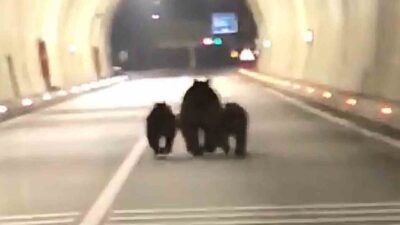 Bartın'ın Amasra ilçesindeki 1100 metrelik tünelde bir aile, gece saatlerinde