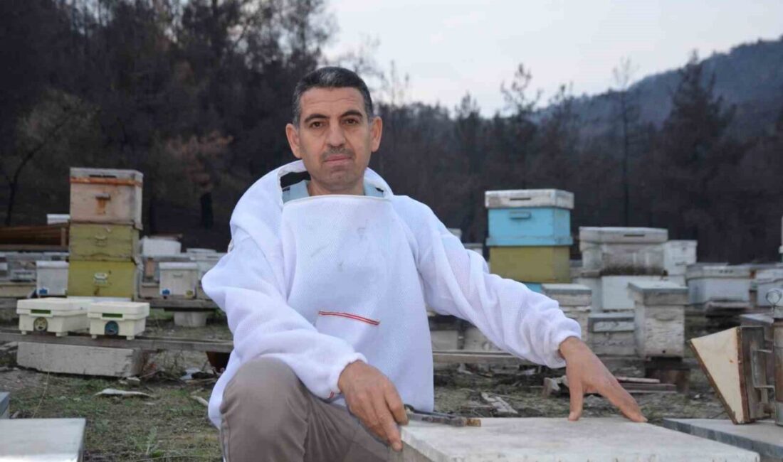 Bilecik’te Arıcılıkla Başlayan Başarı Hikayesi: 15 Yılda 200 Koloniye Ulaşarak Bin Ana Arı Satışı Gerçekleştirdi Bilecik'in Osmaneli ilçesinde yaşayan Bayram Özçanak, 15 yıl önce hobi