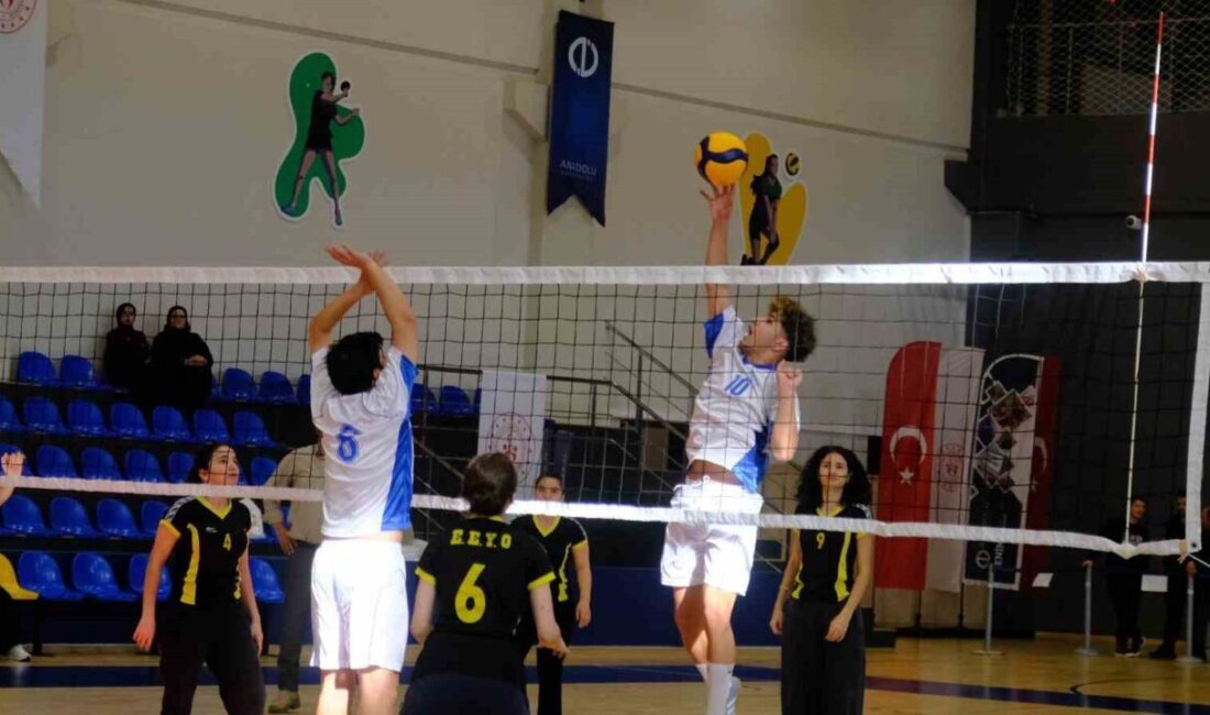 Anadolu Üniversitesi, 3 Aralık Dünya Engelliler Günü'nde engelli bireyler için