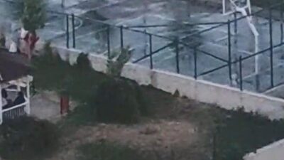 Ankara'nın Etimesgut ilçesinde, pitbull cinsi köpeği tasmasız ve ağızlıksız gezdiren