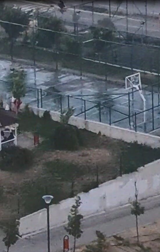 Ankara'nın Etimesgut ilçesinde, pitbull cinsi köpeği tasmasız ve ağızlıksız gezdiren