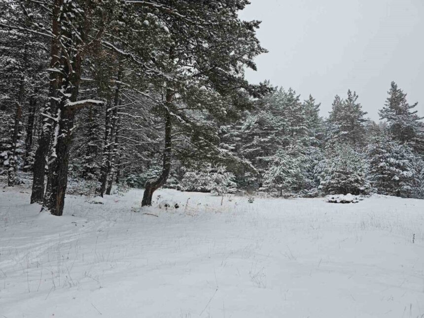 Ankara’nın kuzey ilçelerinde kar yağışı devam ederken, yaylalar beyaza büründü.