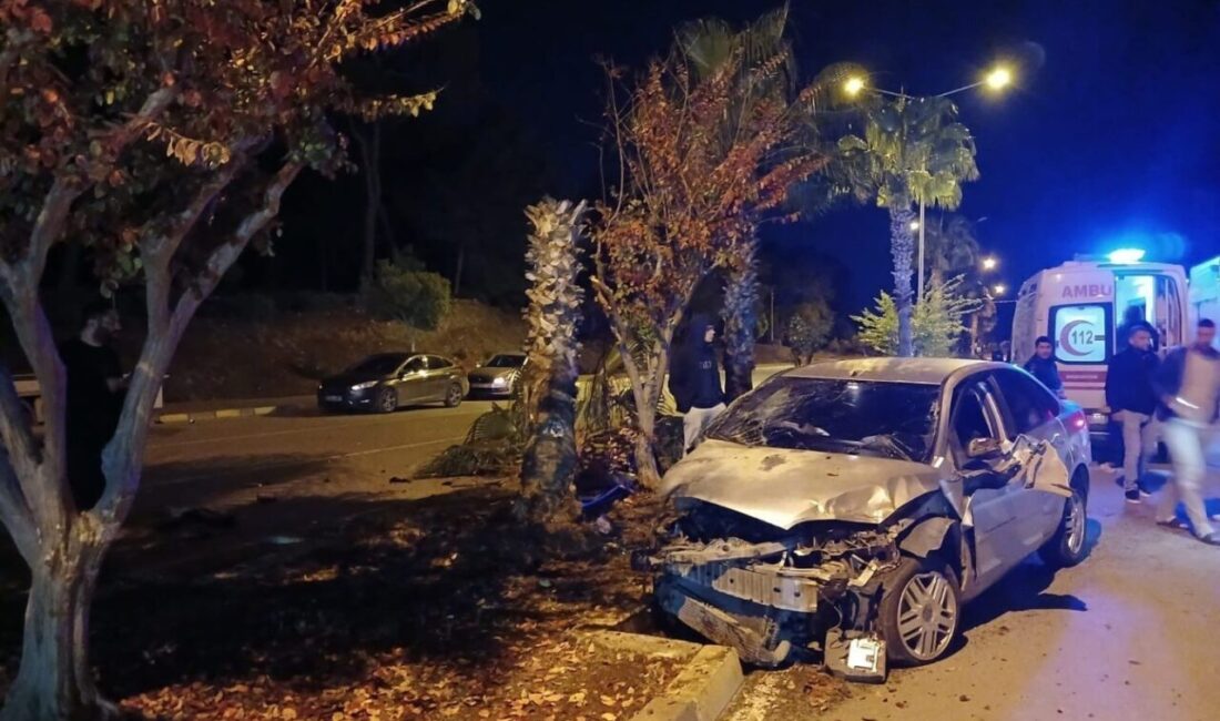 Antalya'nın Manavgat ilçesinde Mustafa A. kontrolünü kaybederek otomobiliyle refüjdeki palmiyeye