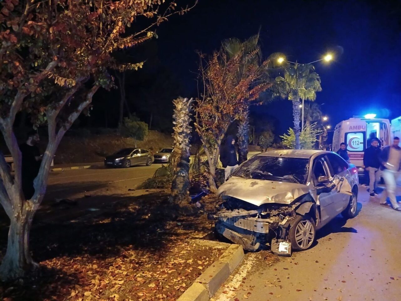 Manavgat’ta Palmiyeye Çarpan Otomobilin Sürücüsü Yaralandı