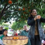 Antalya’da Kadın İstihdamını Destekleyen Turunç Toplama Etkinliği düzenlendi.