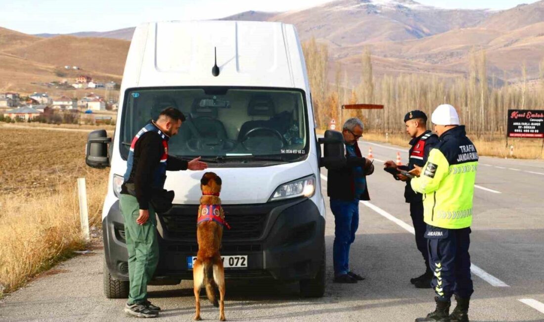 Bayburt Jandarma Ekipleri, Trafik Güvenliği İçin Denetimlerini Arttırdı Bayburt İl Jandarma Komutanlığı, trafik güvenliğini sağlamak için denetimler gerçekleştirdi.