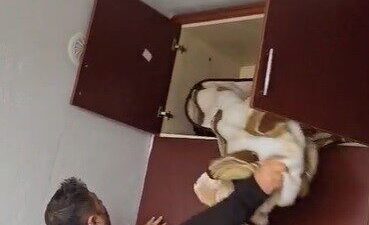 Konya'da 49 suçtan aranan Mehmet A., polis ekipleri tarafından evinde