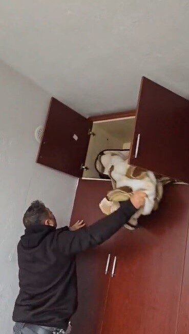 Konya'da 49 suçtan aranan Mehmet A., polis ekipleri tarafından evinde