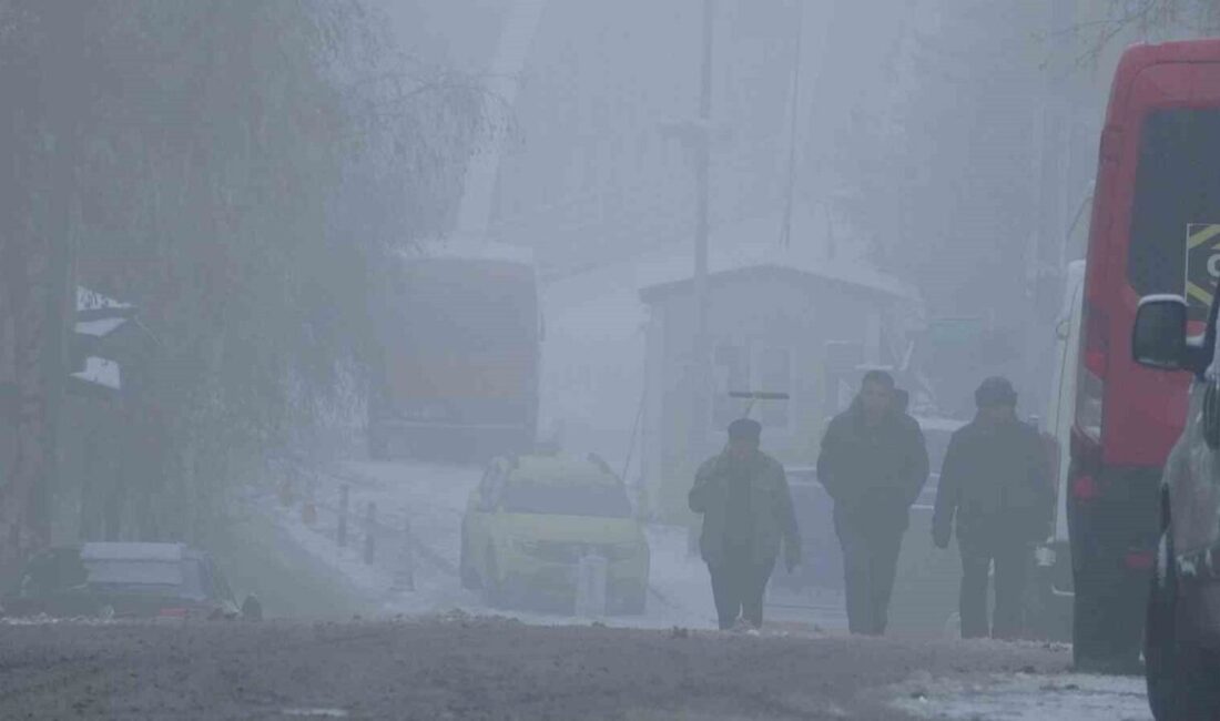 Ardahan'da gece saatlerinde etkili olan kar yağışı, sabah kentte güzel