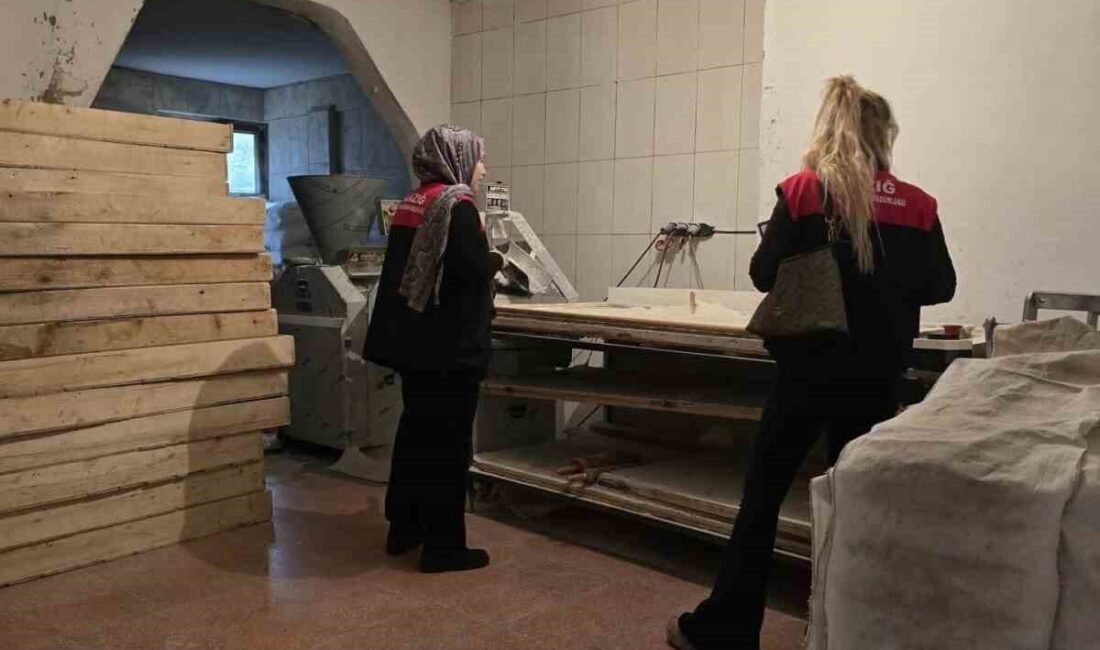 Elazığ'ın Arıcak ilçesinde Tarım ve Orman Müdürlüğü ekipleri, gıda güvenliği