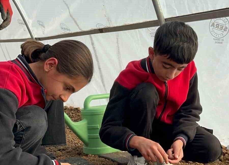 Elazığ’da Öğrenciler İçin Yeni Bir Sera Projesi Hayata Geçirildi Elazığ’ın Arıcak ilçesinde, "Minik Eller Toprakla Buluştu" projesi kapsamında Ormanpınar