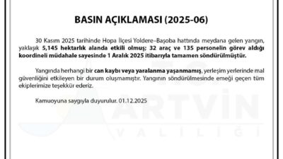 Artvin Valiliği, Hopa'daki Yoldere-Başoba hattında 30 Kasım'da çıkan orman yangınının