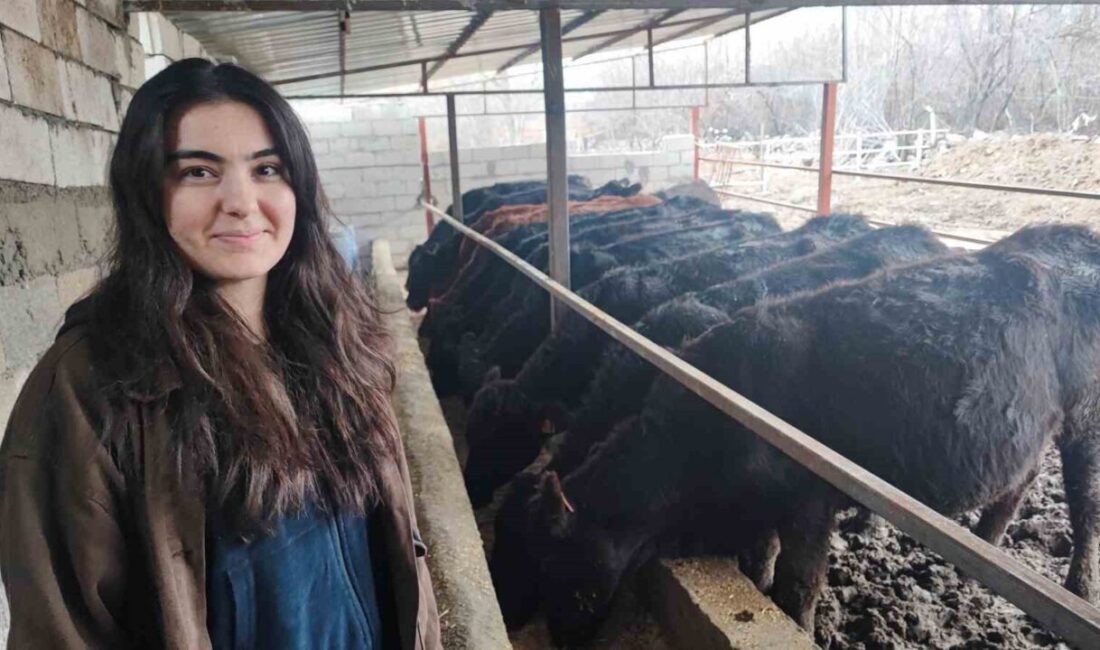 Yozgat'ta 25 yaşındaki Asena Akkuş, sağlıkçı olarak atanamayınca devletten aldığı