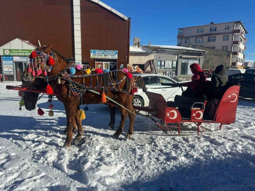 Çıldır Gölü’nde atlı kızaklar, yeni yıl öncesi turistler için hazırlandı